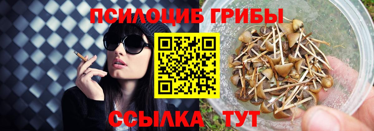 Псилоцибиновые грибы GOLDEN TEACHER  Вход с VPN  купить наркотики сайты  Хабаровск  Псилоцибиновые грибы ЛСД 